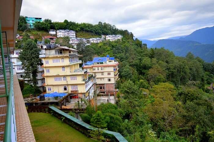 darjeeling nature 