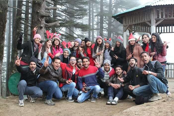 A group of travelers pose in front of a viewpoint in the woods in Dhanaulti