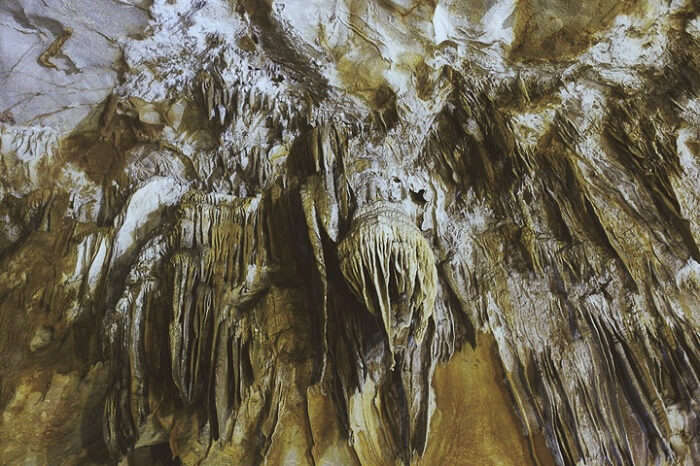 Wonderful caves surrounded by forested karst peaks