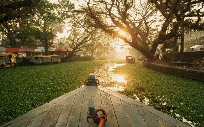 View of a houseboat in Kerala