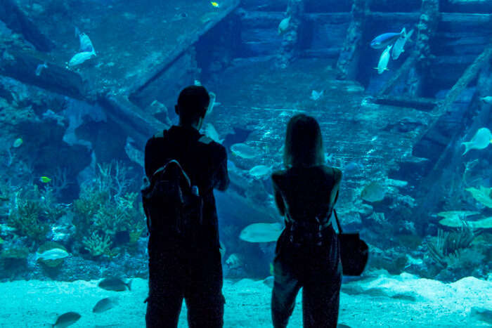 A couple at the S.E.A. Aquarium in Singapore