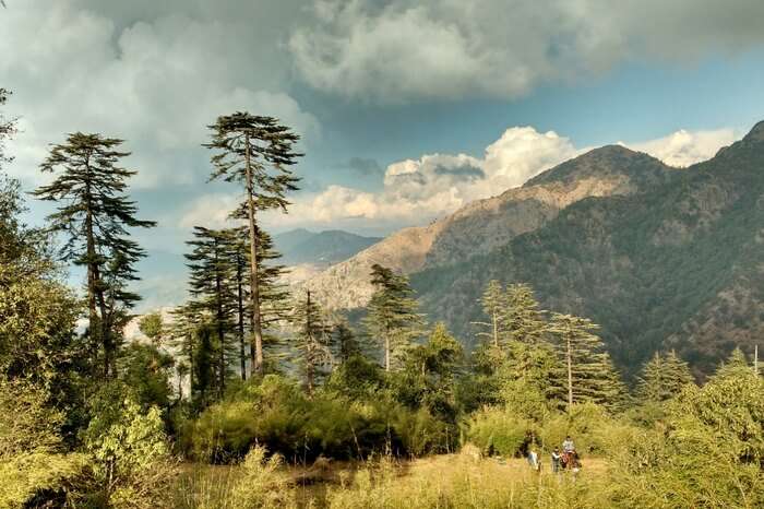 Picturesque mountains and greenery in Dehradun