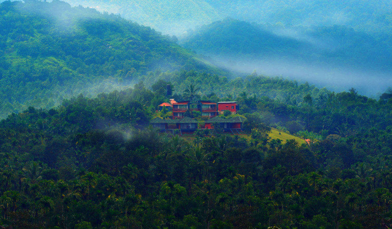 Luxury suites of Petals Resorts nestled in lush greenery in Wayanad