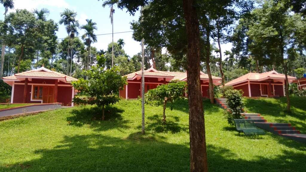 A view of lush greenery around Pappy Nest Holiday Resort in Wayanad