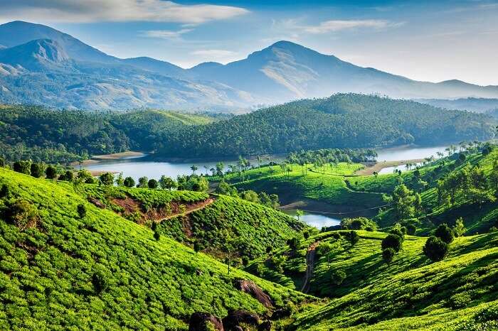 sky view of green Kerala