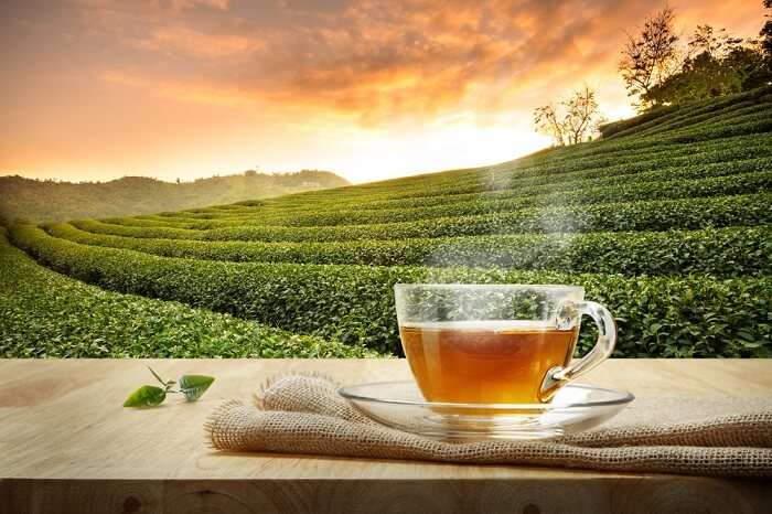 enjoy the best time with tea