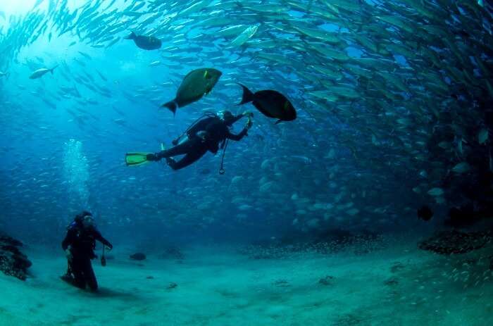 scuba diving in Costa Rica