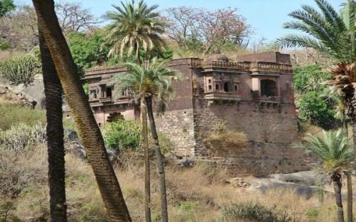 Achalgarh fort surrounded with palm trees