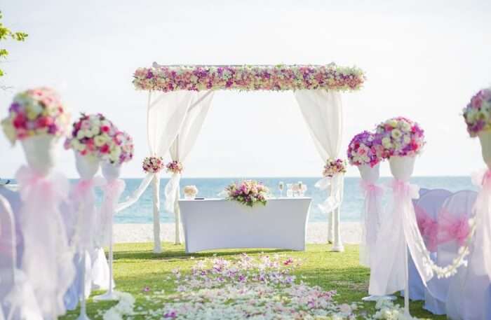 Beautiful Flowers View