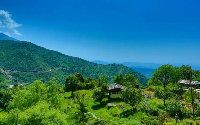 Blue sky and green landscape of Dharamshala