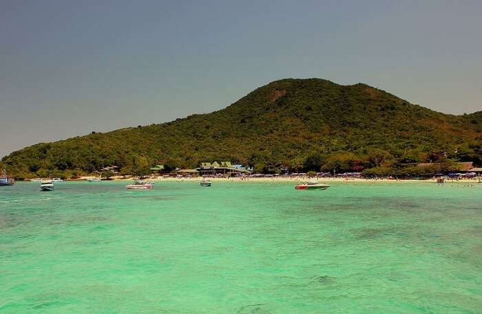 Coral Island View