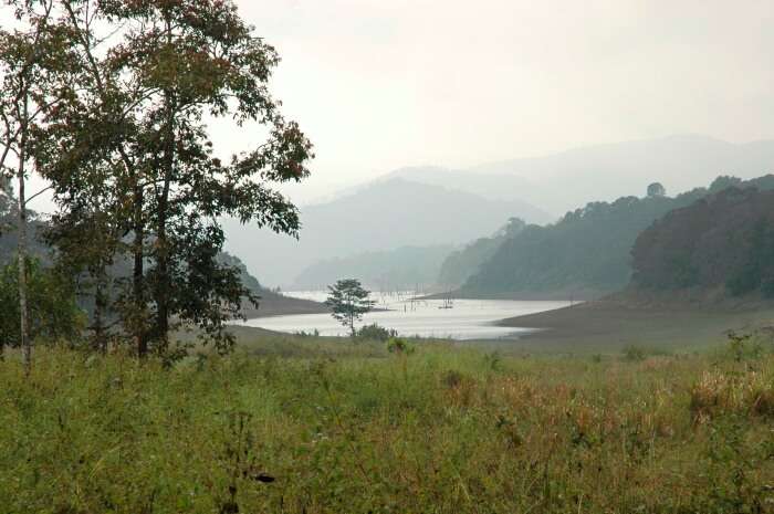 Periyar National Park