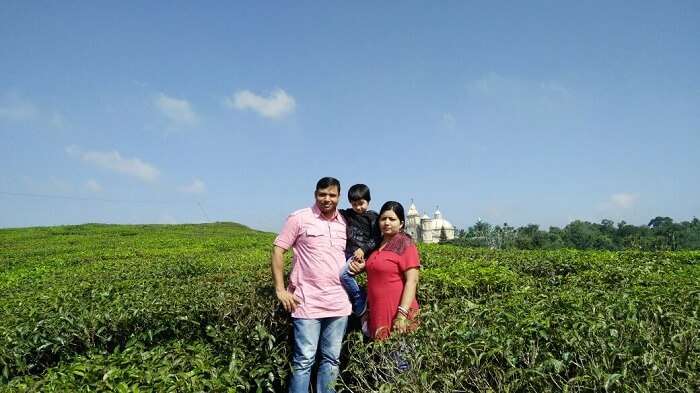 munnar tea gardens