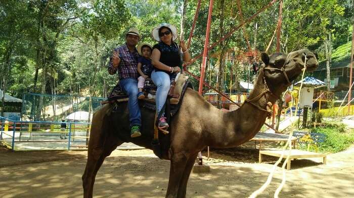 camel ride munnar