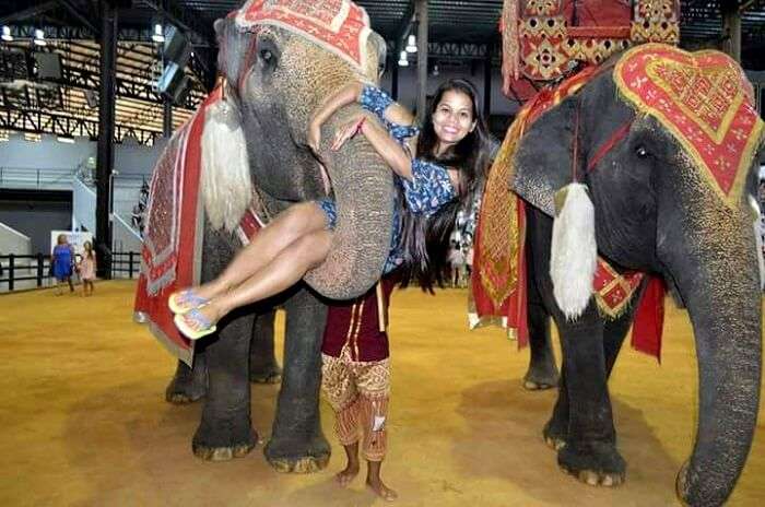 elephant show at nong nooch