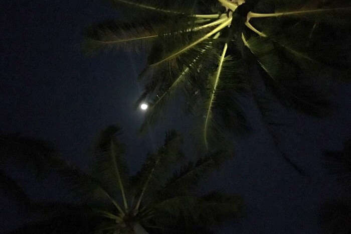 taking a walk at night in maldives