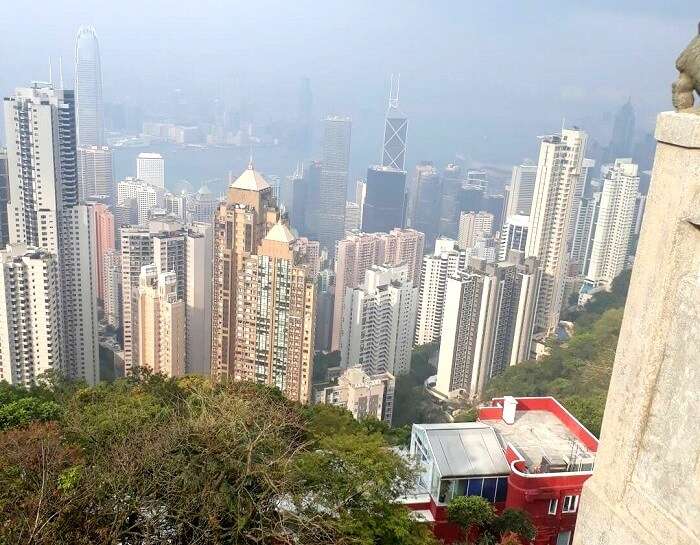 views from ocean park hong kong