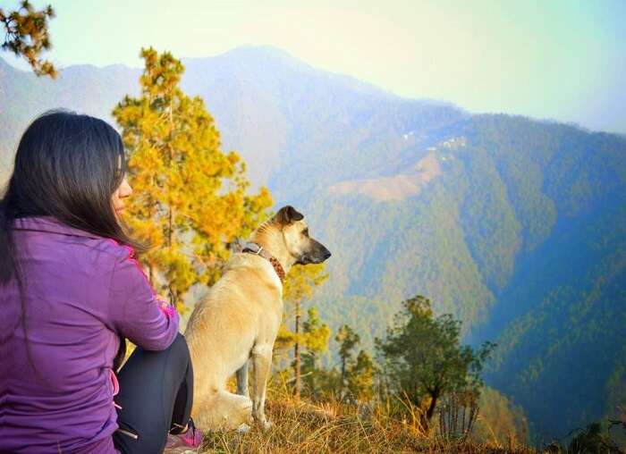 sunrise in binsar valley