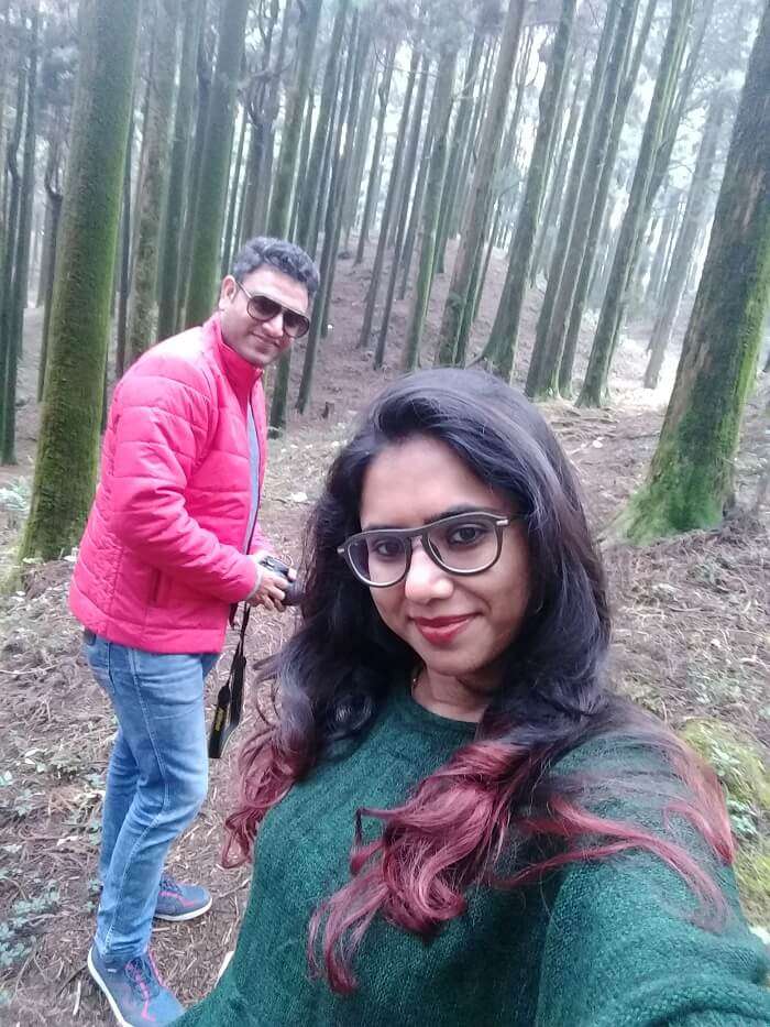 forests of darjeeling