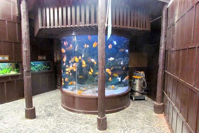 a small exhibition of fishes in thailand