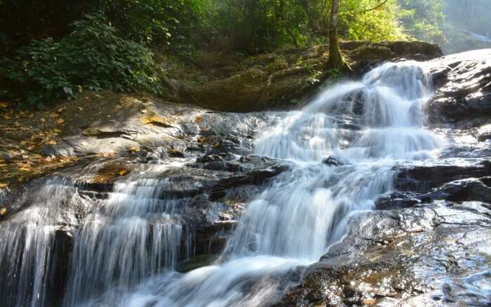 Iruppu falls in a jungle