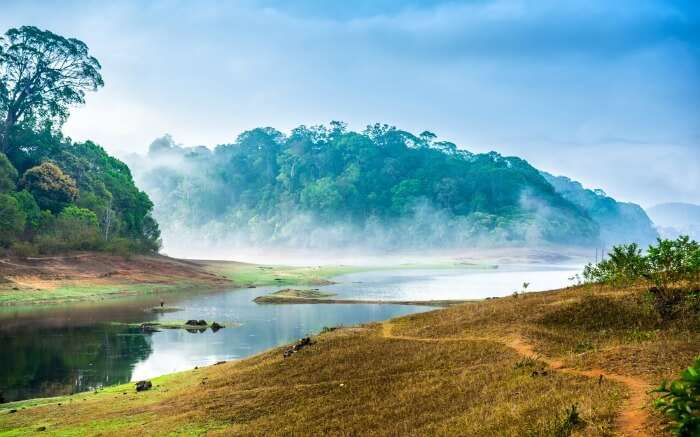 Periyar National Park: Your 2022 Guide To Plan A Day Tour In Kerala's Lap