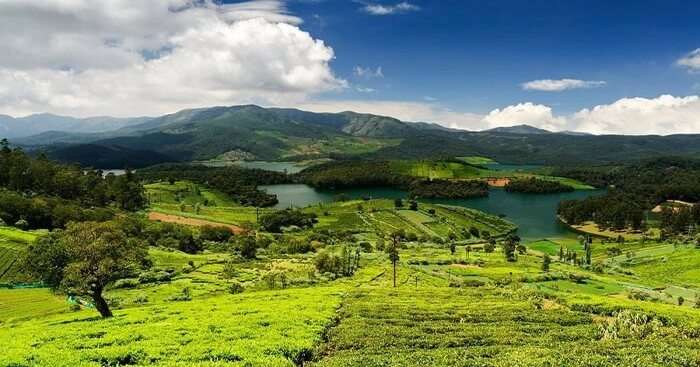 famous tourist spots of ooty