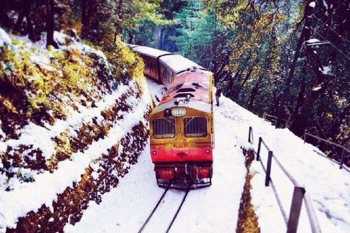 Toy train ride running running from Shimla to Kalka