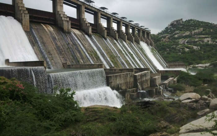 Water flowing from Jawai Dam