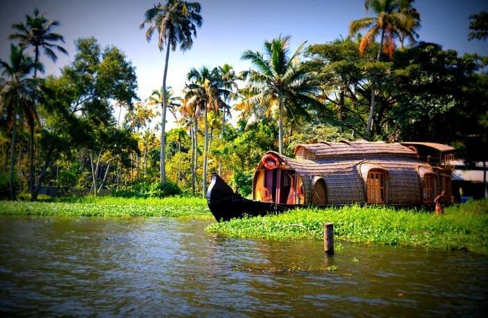 Wedding At The Backwaters