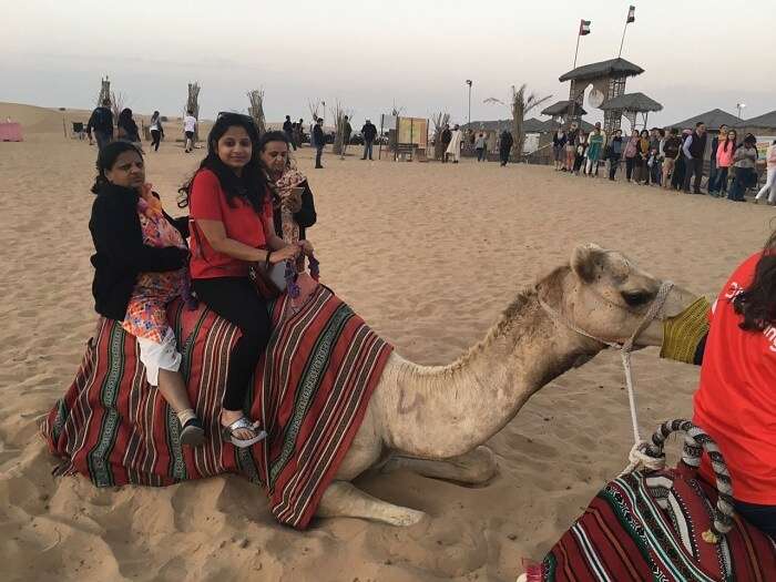 dubai camel ride