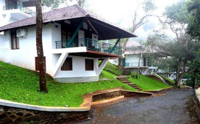 green lawns of Forest Canopy hotel in Thekkady 