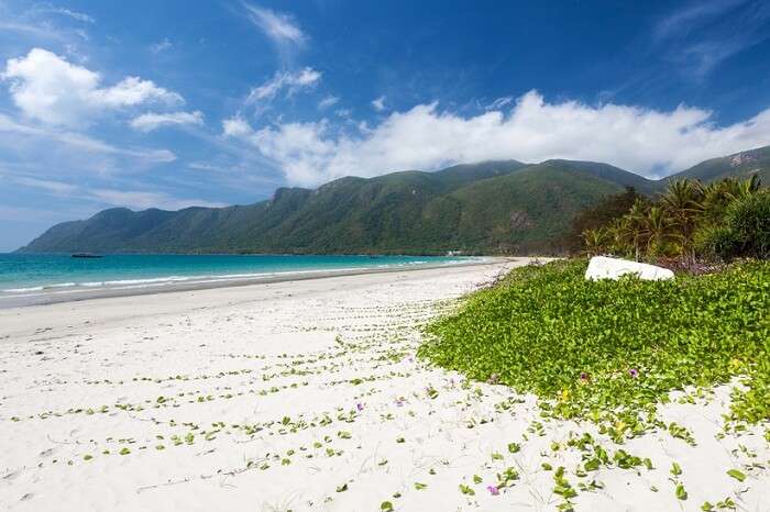 Exotic beach with white sand and green vegetation on Con Dao island in Vietnam