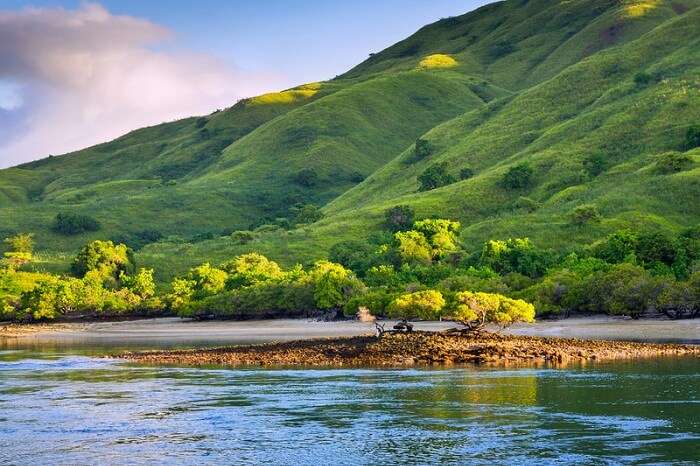 Coastal landscape of Komodo National Park island