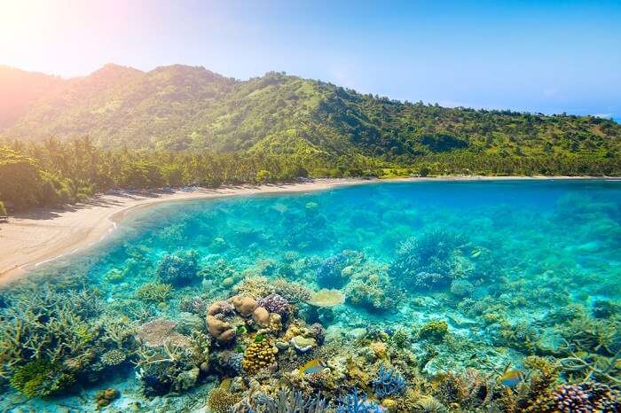 The coral reefs and the tropical coast of Lombok island