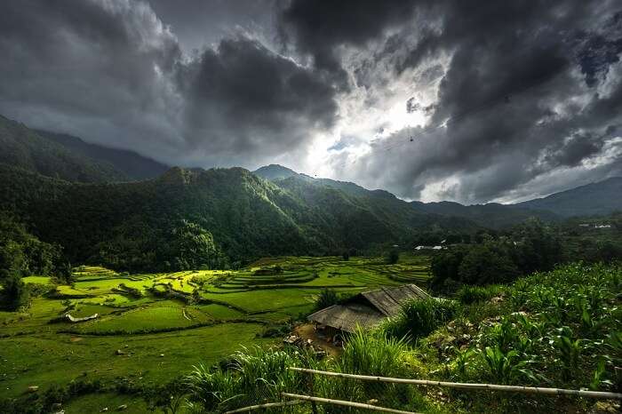 Rice fields on terraced of Sapa city at Northwest Vietnam