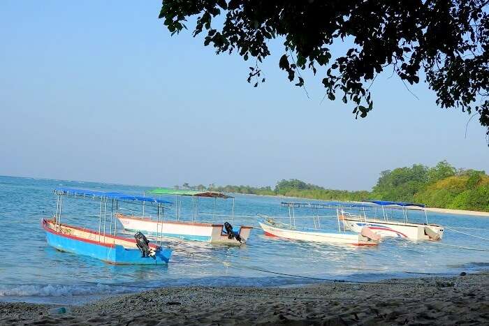 Neil Island, Andaman