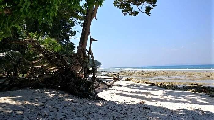 white sand beaches in Andaman