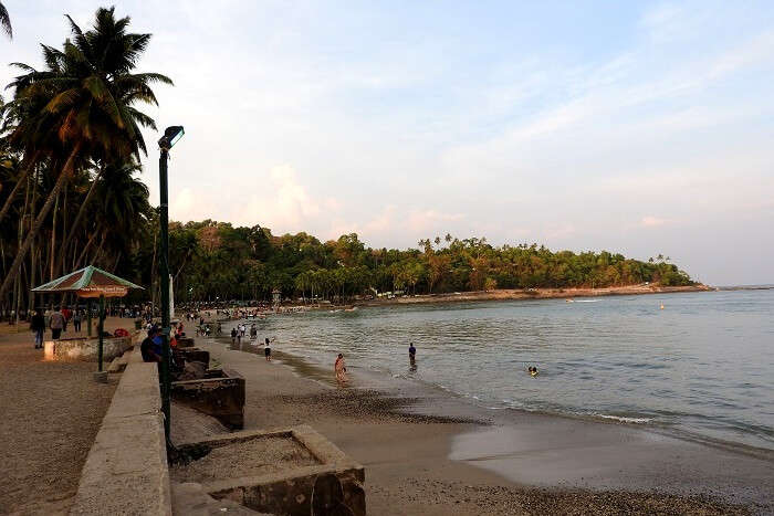 shoreline of a beach in Andaman