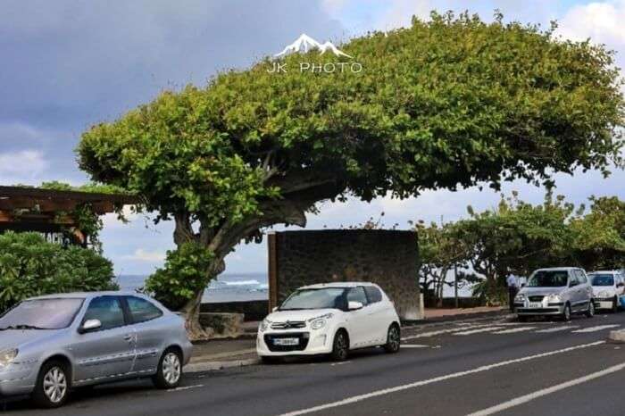 St. Pierre in Reunion Island, France