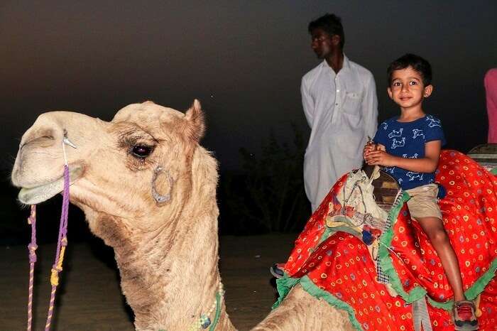 shri ram getting ready for a morning camel ride