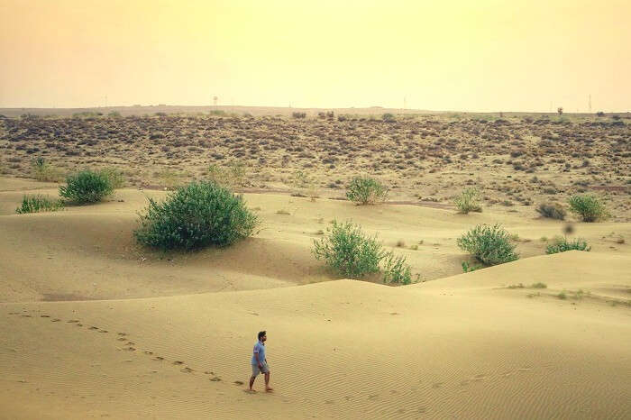 desert safari in jaisalmer