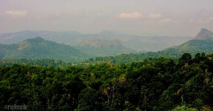 enroute Thekkady, Kerala
