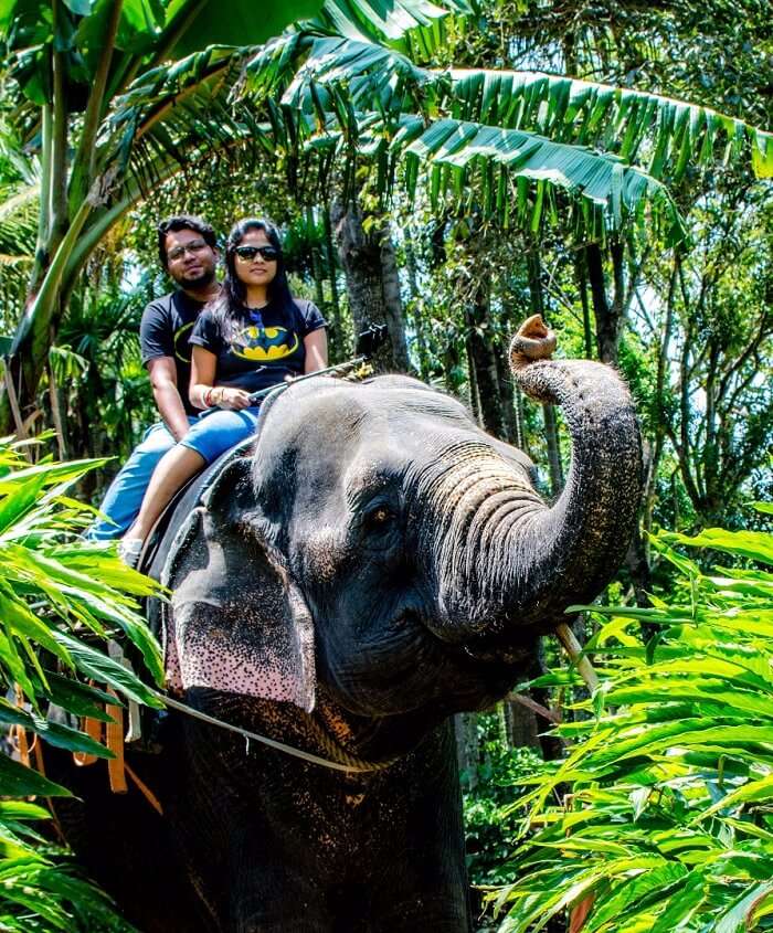 couple enjoying elephant ride in Kerala