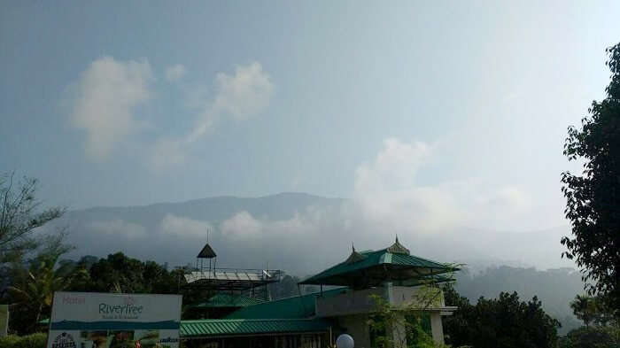 View from Rivertree hotel, Kerala