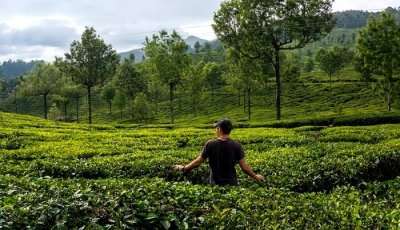 natural attractions in Kerala