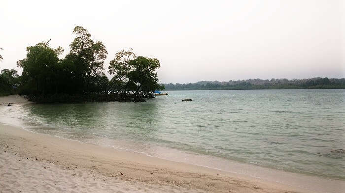 Elephant beach in Andaman