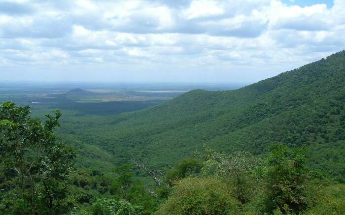 BR hills near Mangalore