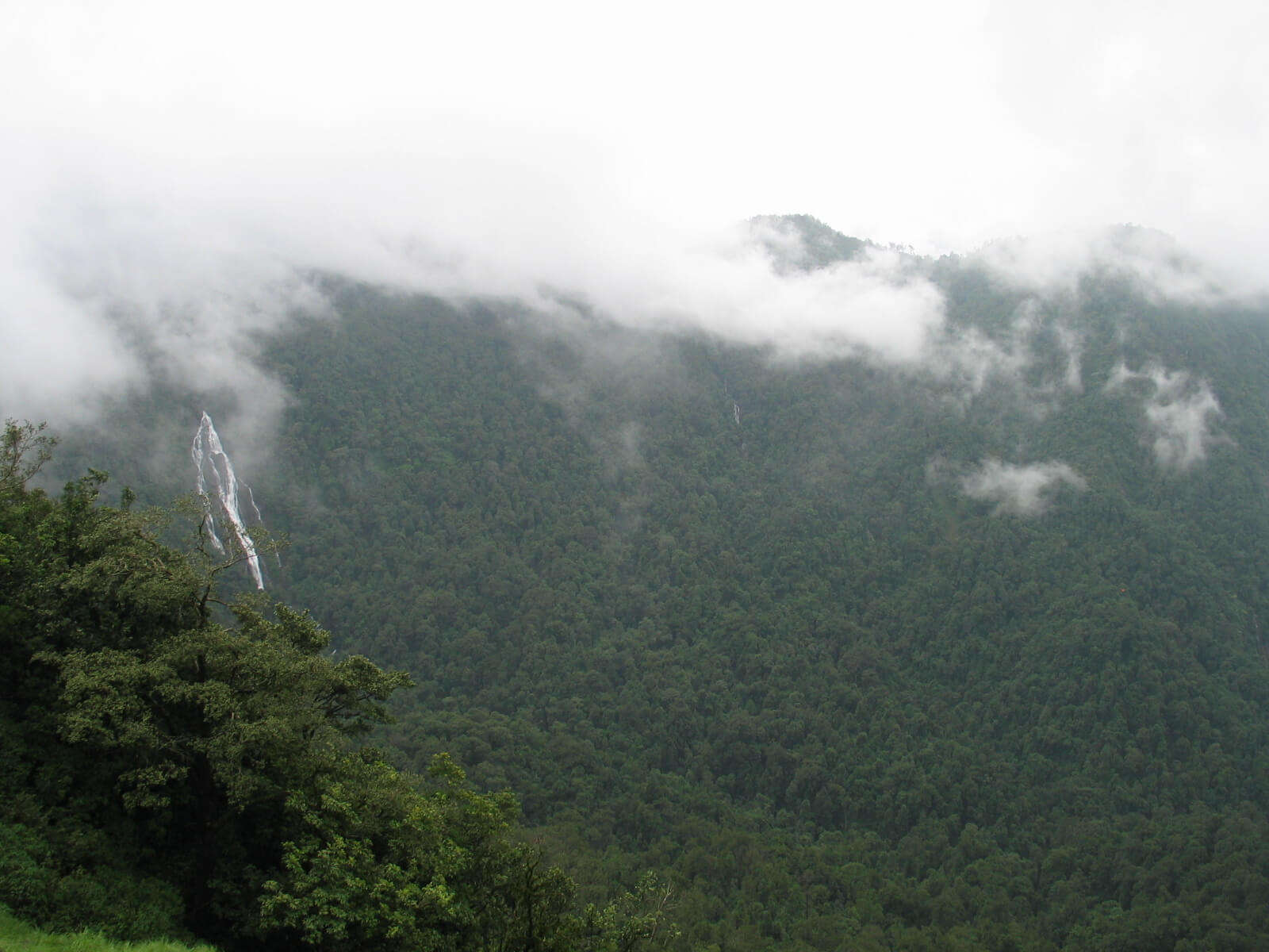 Misty mountains and Barkana Falls in Agumbe