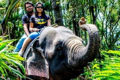 romantic trip to Kerala